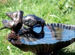 Kerti Fém Disz, Dekoráció Madáritató AMSEL